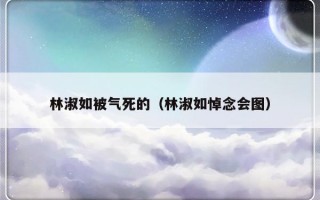 林淑如被气死的（林淑如悼念会图）