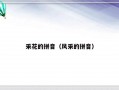 采花的拼音（风采的拼音）