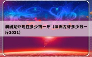 澳洲龙虾现在多少钱一斤（澳洲龙虾多少钱一斤2021）