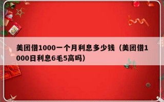 美团借1000一个月利息多少钱（美团借1000日利息6毛5高吗）