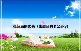 张韶涵的丈夫（张韶涵的老公sky）