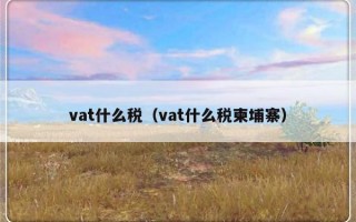 vat什么税（vat什么税柬埔寨）