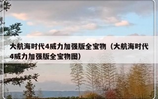 大航海时代4威力加强版全宝物（大航海时代4威力加强版全宝物图）