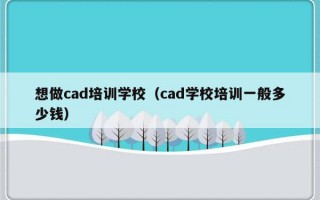 想做cad培训学校（cad学校培训一般多少钱）