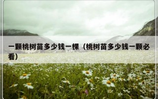 一颗桃树苗多少钱一棵（桃树苗多少钱一颗必看）