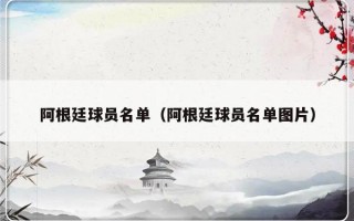 阿根廷球员名单（阿根廷球员名单图片）