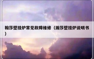 翰莎壁挂炉常见故障维修（瀚莎壁挂炉说明书）