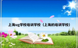 上海ug学校培训学校（上海的培训学校）