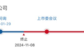 IPO刚终止一个月就卷土重来，瑞尔竞达再冲北交所|界面新闻 · 证券