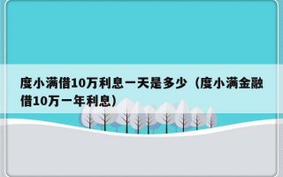 度小满借10万利息一天是多少（度小满金融借10万一年利息）