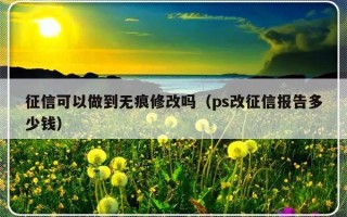 征信可以做到无痕修改吗（ps改征信报告多少钱）