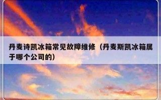 丹麦诗凯冰箱常见故障维修（丹麦斯凯冰箱属于哪个公司的）