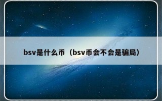 bsv是什么币（bsv币会不会是骗局）