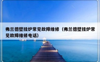 弗兰德壁挂炉常见故障维修（弗兰德壁挂炉常见故障维修电话）