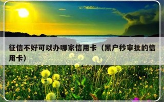 征信不好可以办哪家信用卡（黑户秒审批的信用卡）