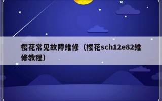 樱花常见故障维修（樱花sch12e82维修教程）