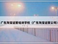 广东淘宝运营培训学校（广东淘宝运营公司）