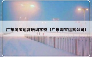 广东淘宝运营培训学校（广东淘宝运营公司）