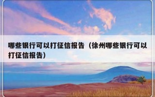 哪些银行可以打征信报告（徐州哪些银行可以打征信报告）