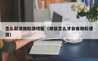 怎么取消微粒贷功能（微信怎么才会有微粒借贷）