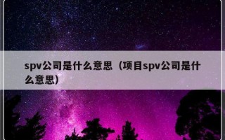 spv公司是什么意思（项目spv公司是什么意思）