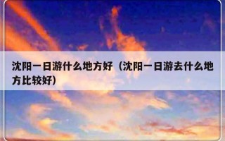 沈阳一日游什么地方好（沈阳一日游去什么地方比较好）