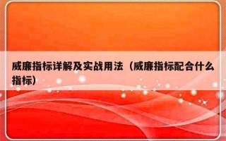 威廉指标详解及实战用法（威廉指标配合什么指标）