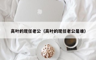 高叶的现任老公（高叶的现任老公是谁）