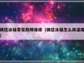 扬佳冰箱常见故障维修（扬佳冰箱怎么调温度）