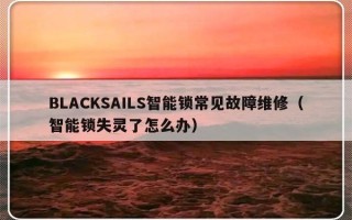 BLACKSAILS智能锁常见故障维修（智能锁失灵了怎么办）