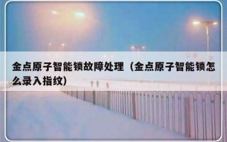 金点原子智能锁故障处理（金点原子智能锁怎么录入指纹）
