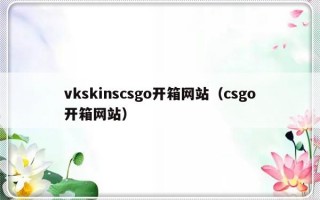 vkskinscsgo开箱网站（csgo开箱网站）