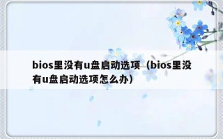 bios里没有u盘启动选项（bios里没有u盘启动选项怎么办）