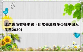 比尔盖茨有多少钱（比尔盖茨有多少钱中国人民币2020）