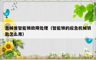 急械兽智能锁故障处理（智能锁的应急机械钥匙怎么用）