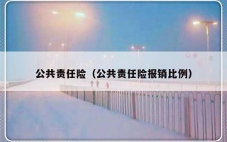 公共责任险（公共责任险报销比例）