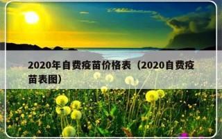 2020年自费疫苗价格表（2020自费疫苗表图）