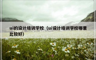 ui的设计培训学校（ui设计培训学校哪里比较好）