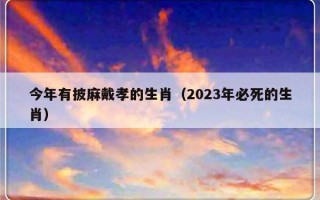 今年有披麻戴孝的生肖（2023年必死的生肖）