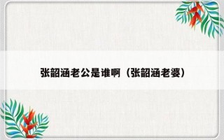 张韶涵老公是谁啊（张韶涵老婆）