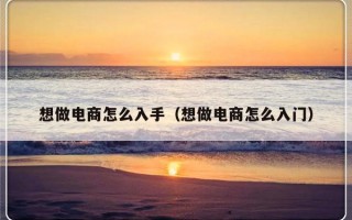 想做电商怎么入手（想做电商怎么入门）