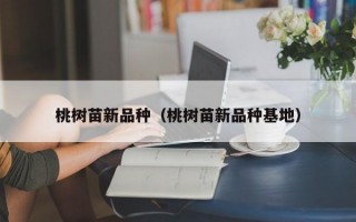 桃树苗新品种（桃树苗新品种基地）