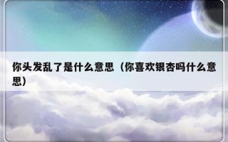 你头发乱了是什么意思（你喜欢银杏吗什么意思）