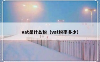 vat是什么税（vat税率多少）