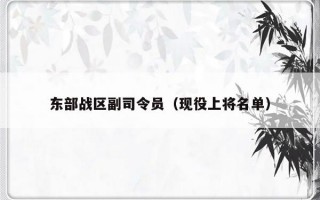 东部战区副司令员（现役上将名单）