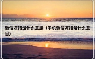 微信冻结是什么意思（手机微信冻结是什么意思）