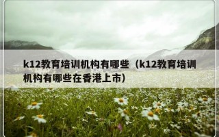 k12教育培训机构有哪些（k12教育培训机构有哪些在香港上市）