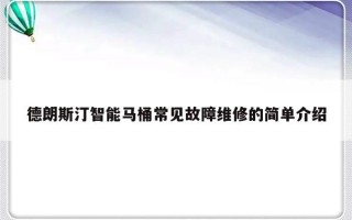 德朗斯汀智能马桶常见故障维修的简单介绍