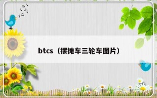 btcs（摆摊车三轮车图片）