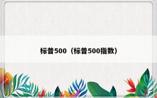 标普500（标普500指数）